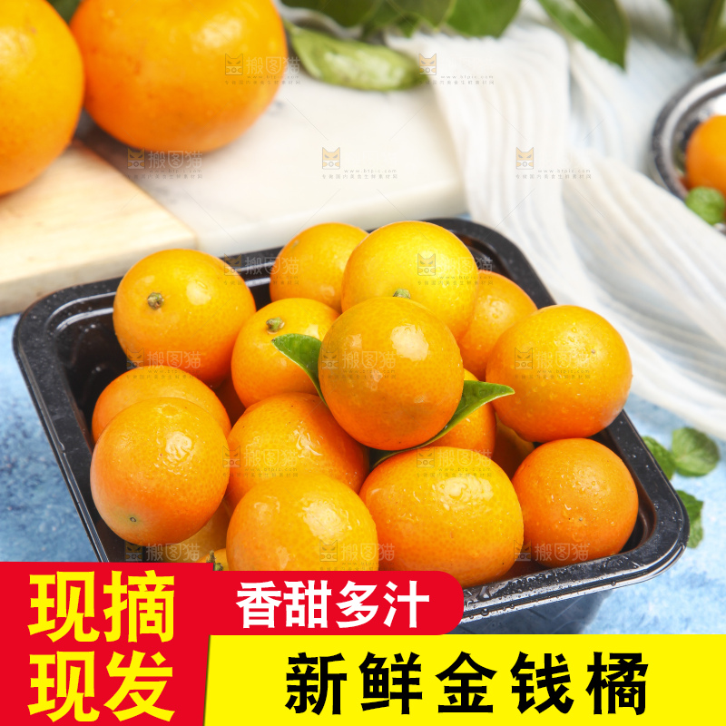 盒子里装着小金桔
