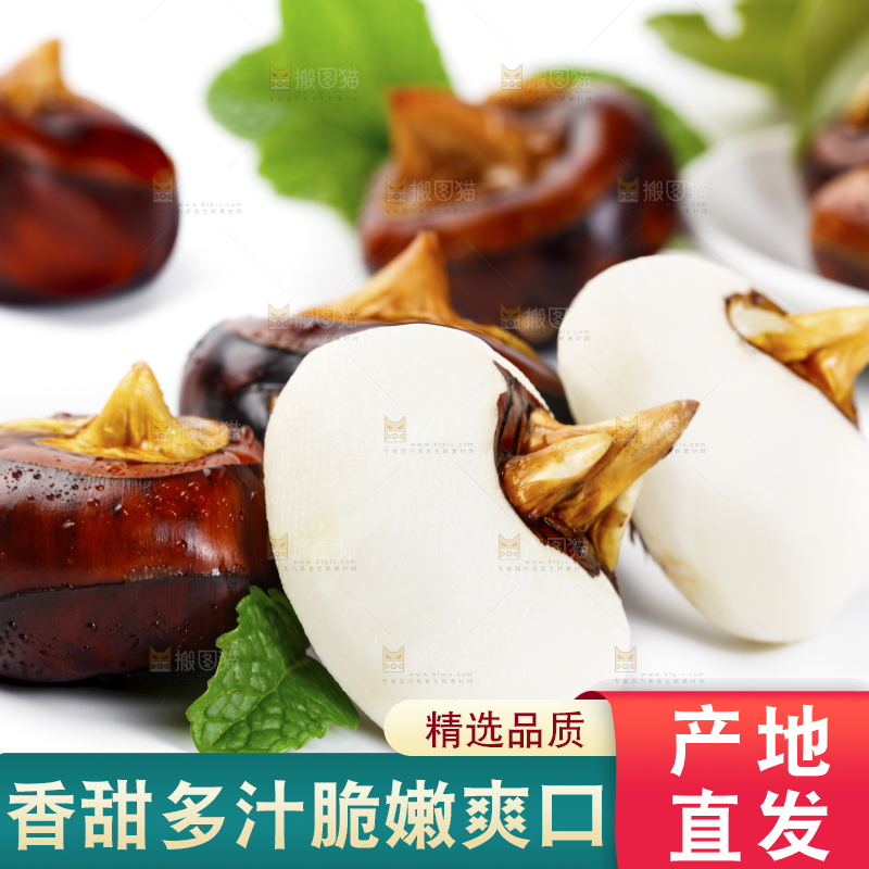 白底上放着广西马蹄