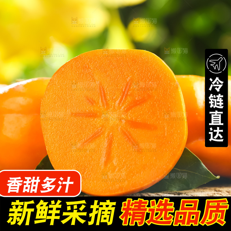 木底上的磨盘大柿子