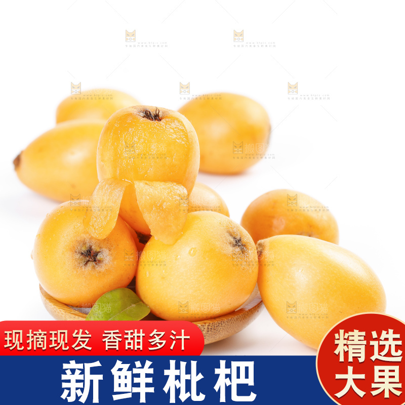 白底上放着攀枝花米易枇杷