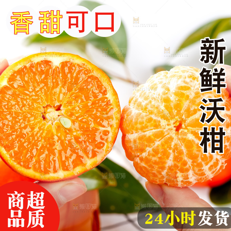 手里拿着新鲜沃柑