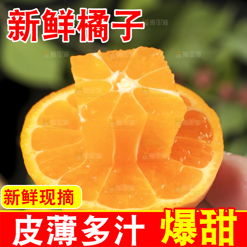 手里拿着新鲜椪柑