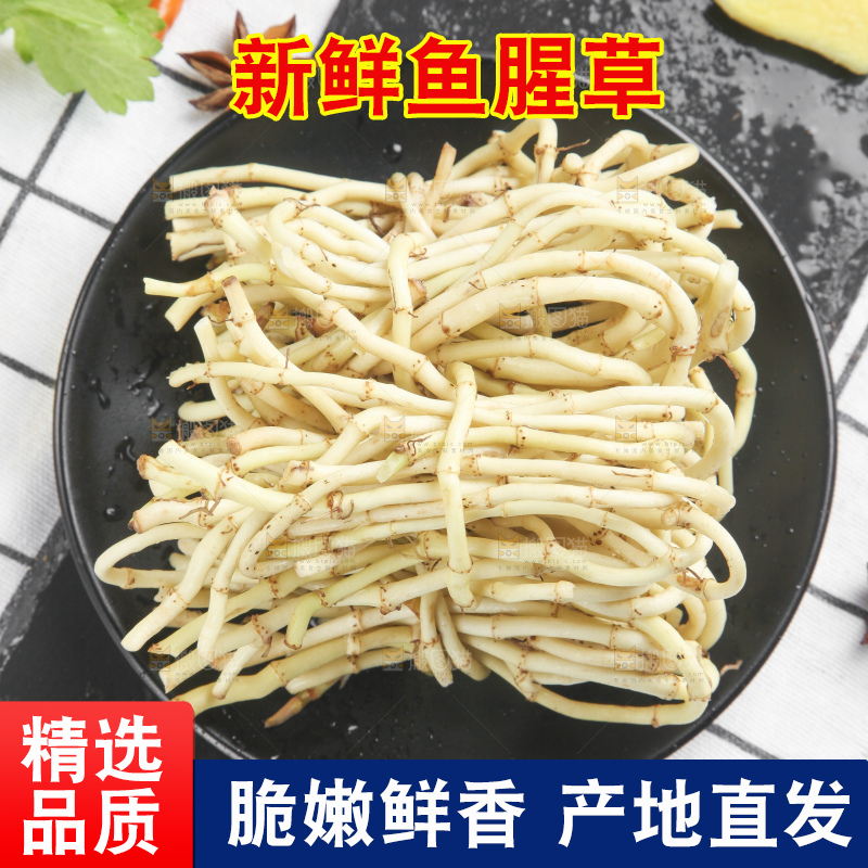 石板上的鱼腥草