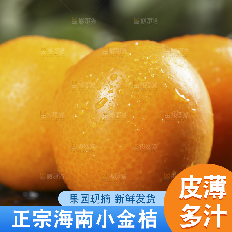 黑石板上的广西金钱橘