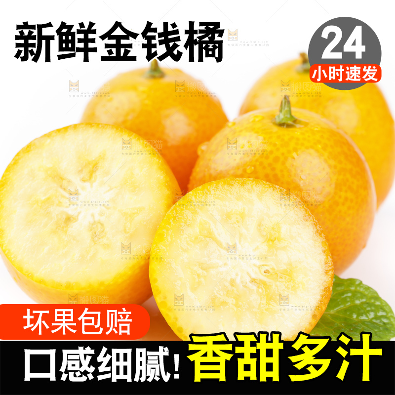 白底上的金桔