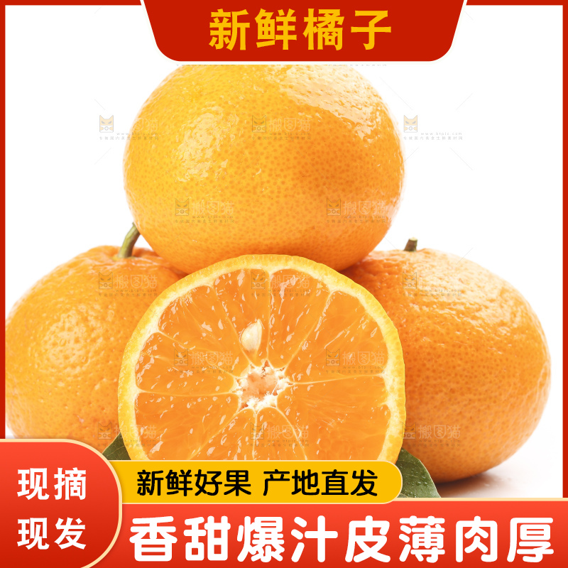 白底上的椪柑橘