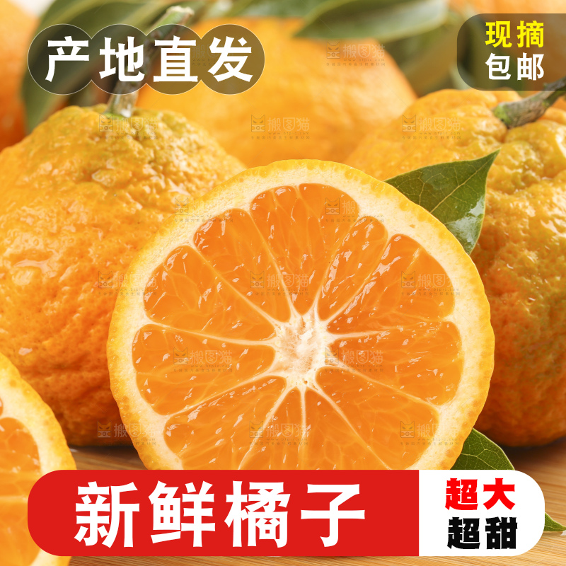 木板上的椪柑橘