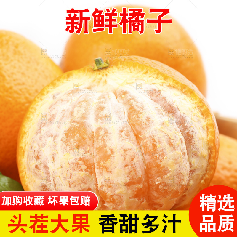 篮子里装着丑橘