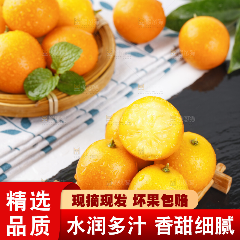 黑石板上的广西金钱橘