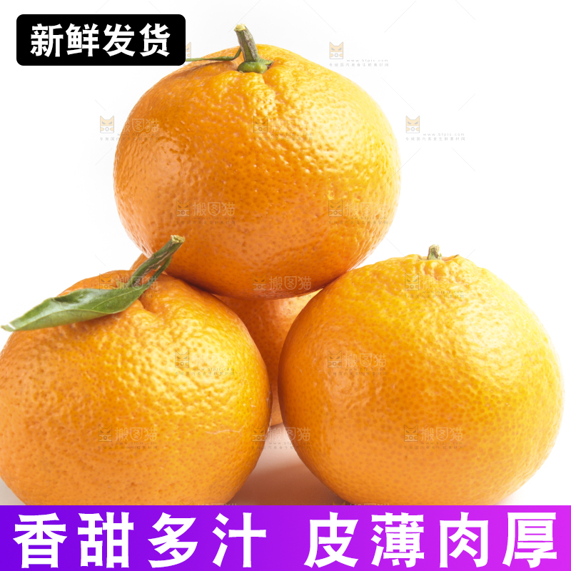 白底上的椪柑