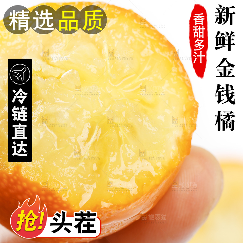 白底上的金桔