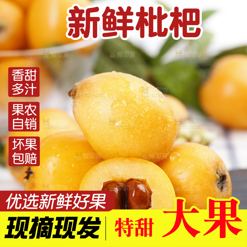 石板上的云南蒙自枇杷