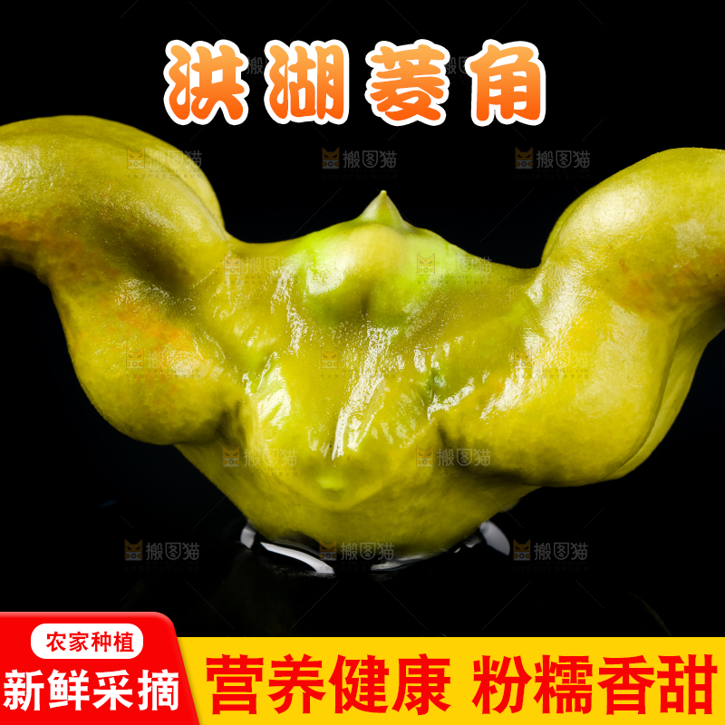 黑底上的菱角