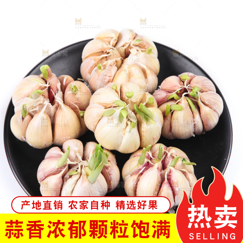 白底上放着紫皮蒜