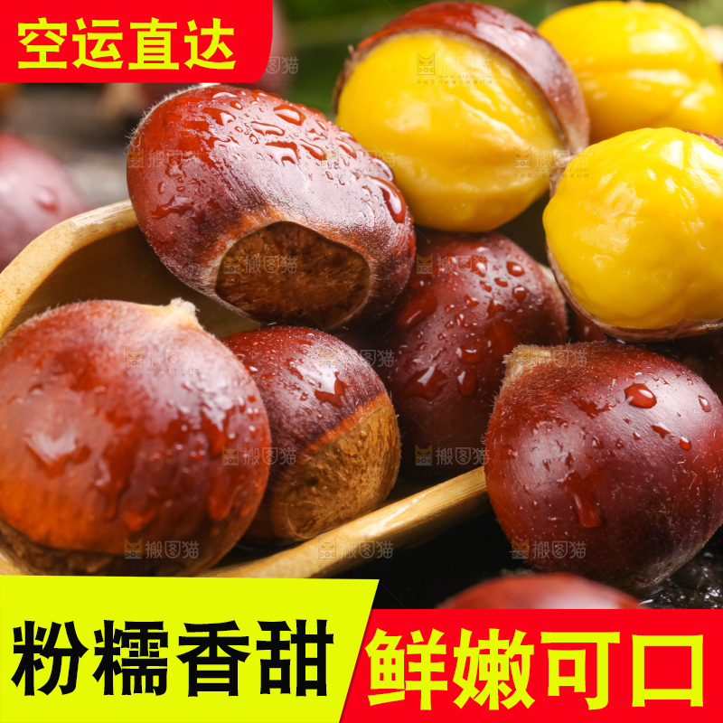 深底上的迁西板栗