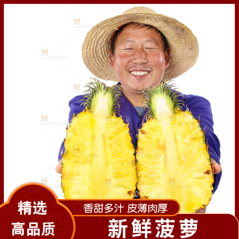 农民手里拿着香水菠萝