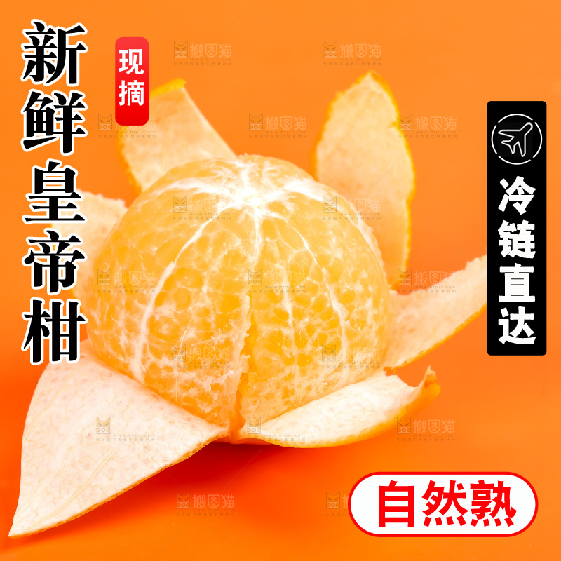 彩底上撕开皮的皇帝柑