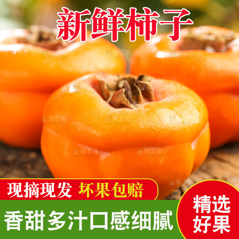 木底上的磨盘大柿子