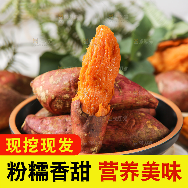 深底上的烟薯