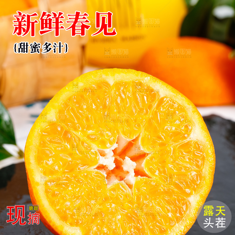 黑石板上的春见耙耙柑