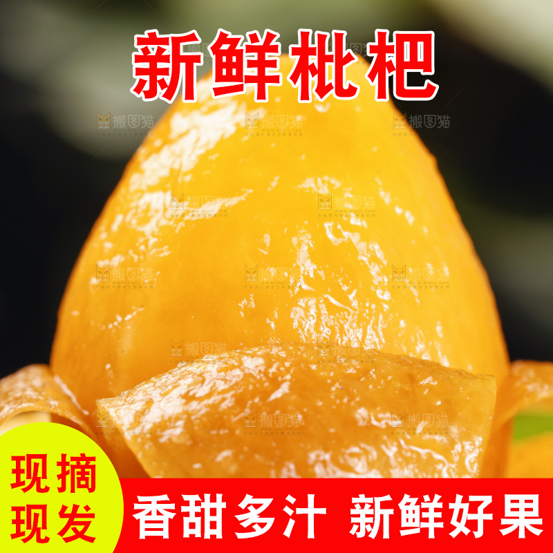 黑底上的米易枇杷