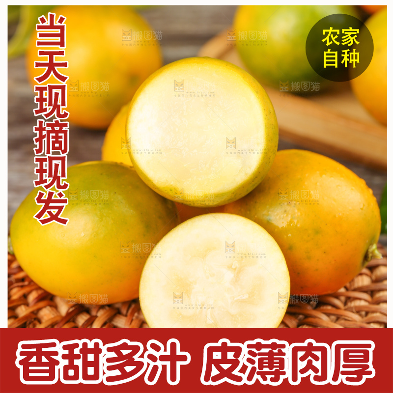 竹垫子上的广西脆皮金桔