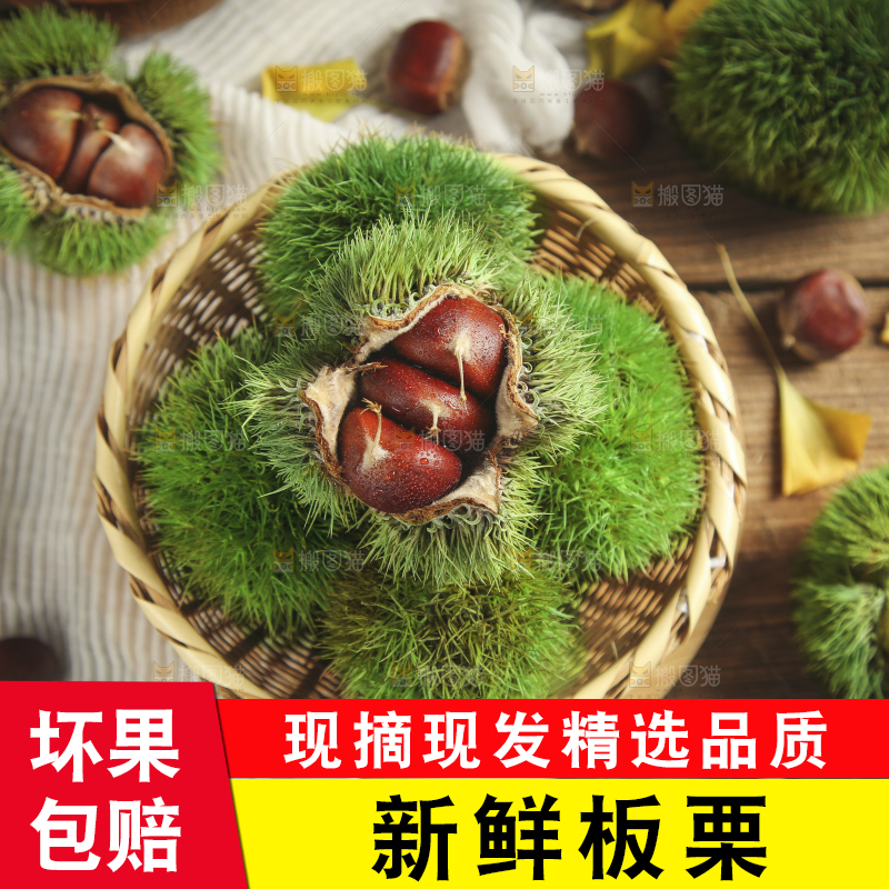 篮子里的迁西板栗