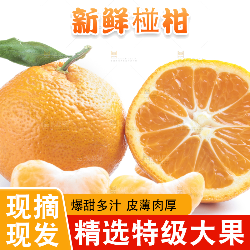 白底上摆放着椪柑橘