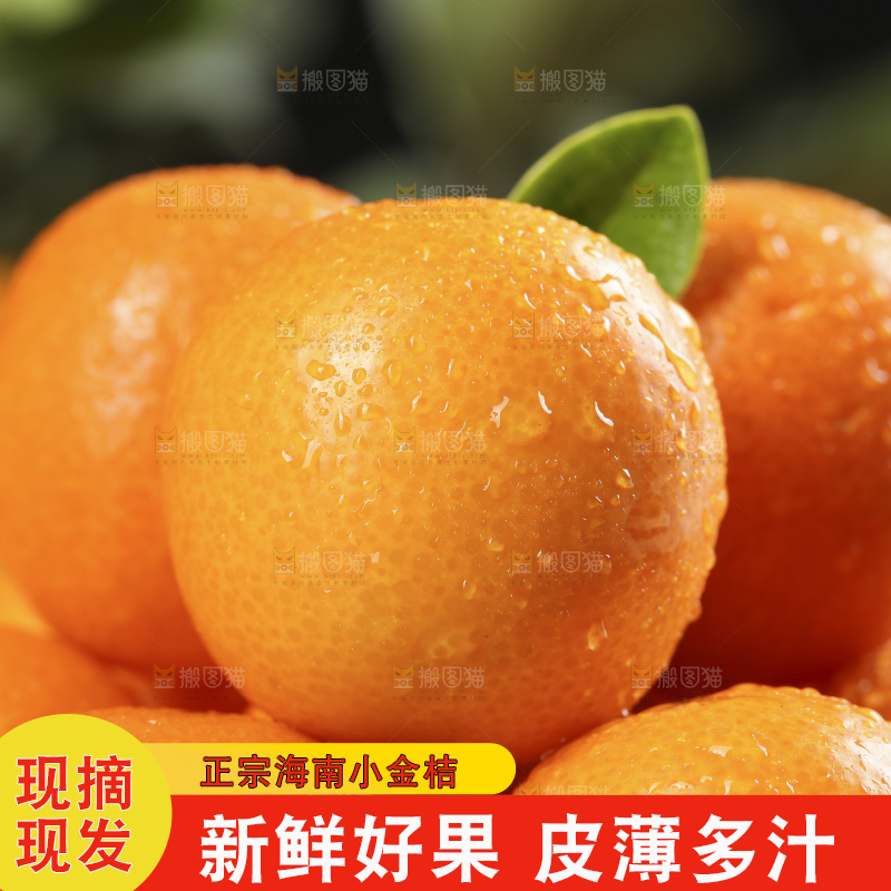 黑石板上的广西金钱橘