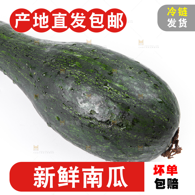 白底上的南瓜