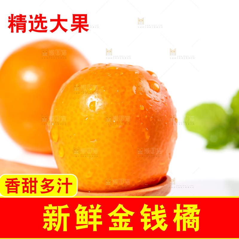 白底上的融安金桔