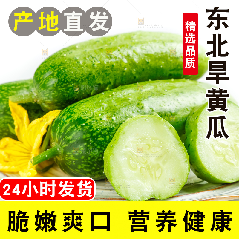 盘子里的东北旱黄瓜