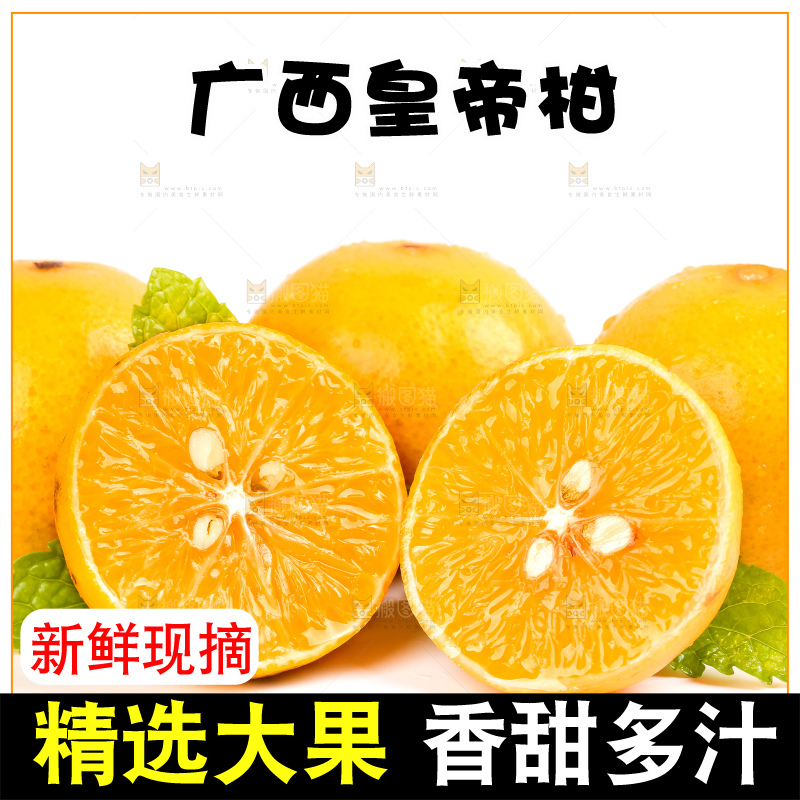 白底上放着一堆新鲜皇帝柑