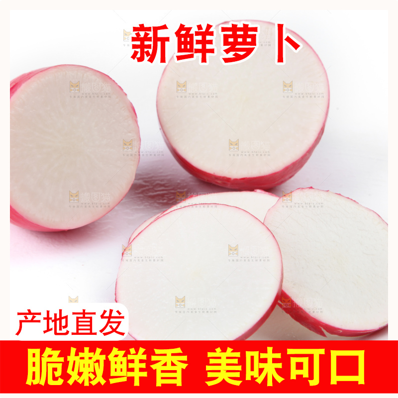 白底上的红萝卜