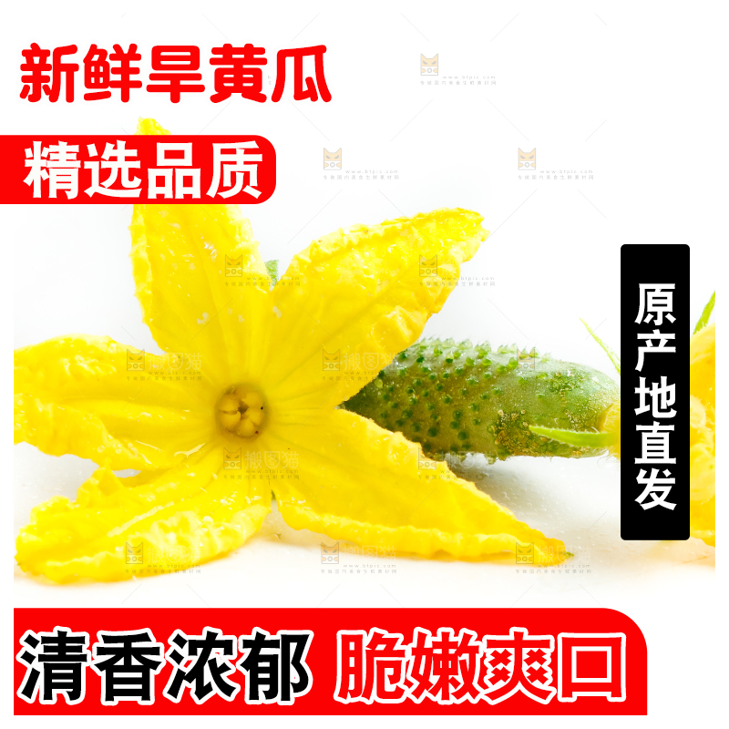 白底上的小黄瓜