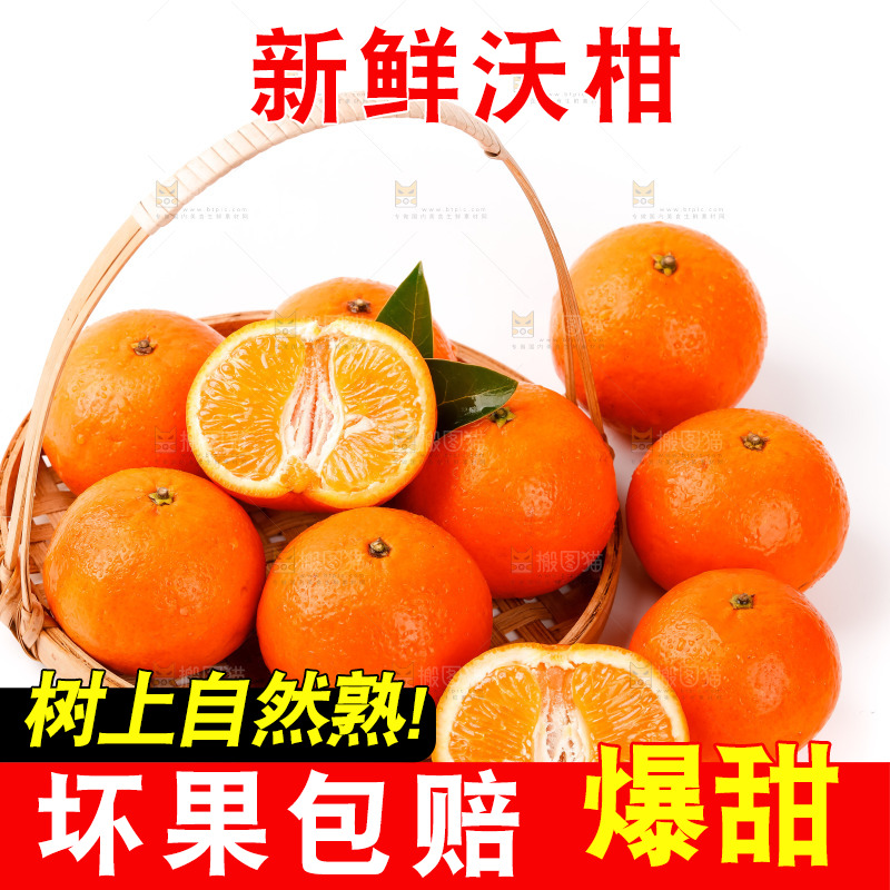 篮子里的贵妃柑