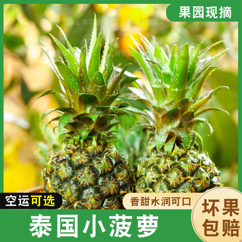 篮子里的新鲜小菠萝