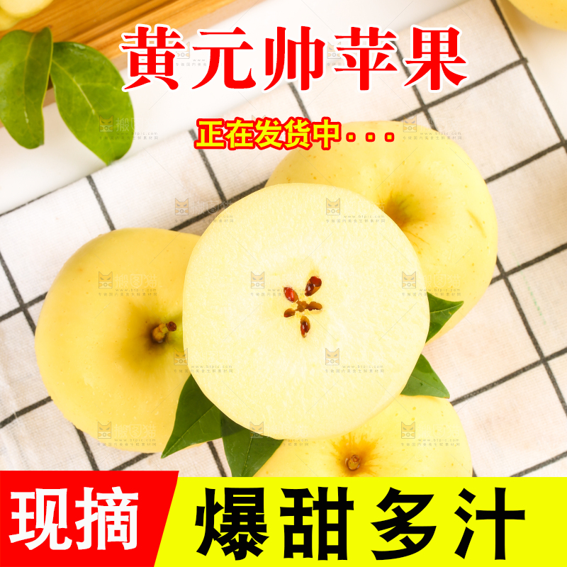 白格子底上的烟台黄金帅