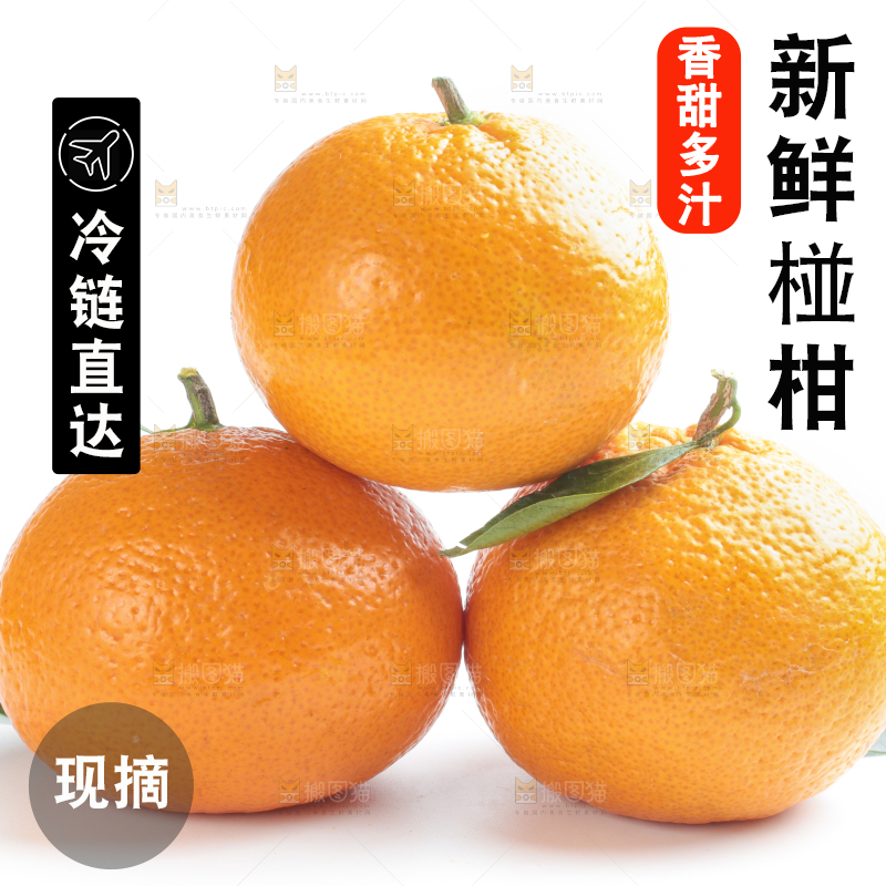 白底上放着椪柑