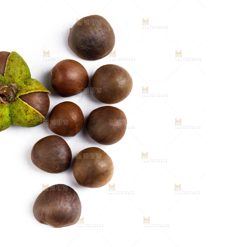 白底上摆放着茶树果