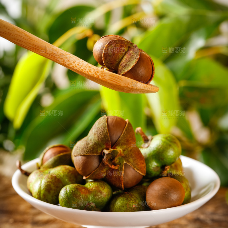 碟子里装着茶油籽