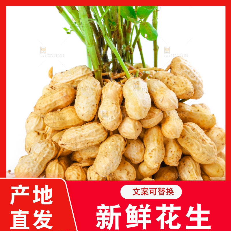 白底上一堆鲜花生