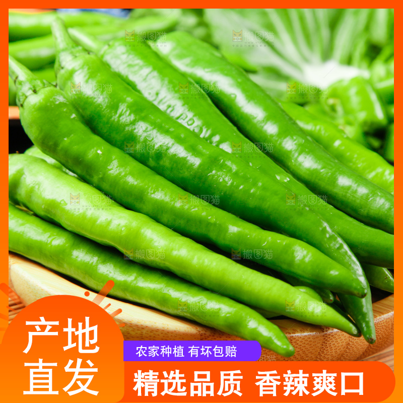木底上放着杭椒