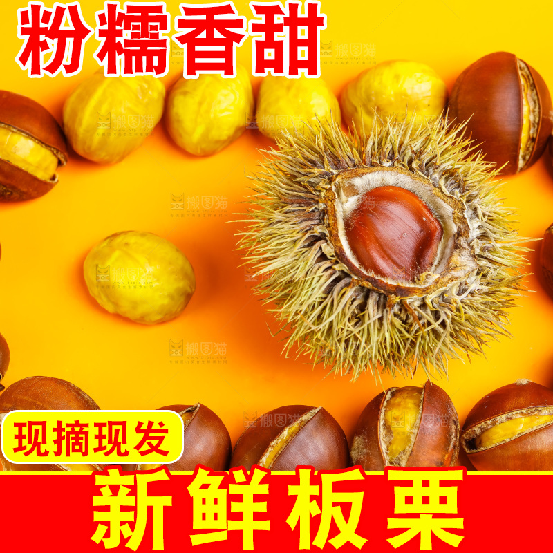 黄底上的迁西板栗
