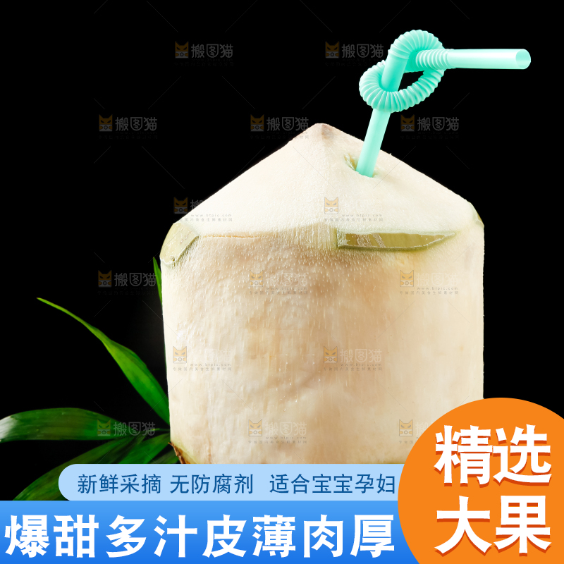 黑底上的青椰子