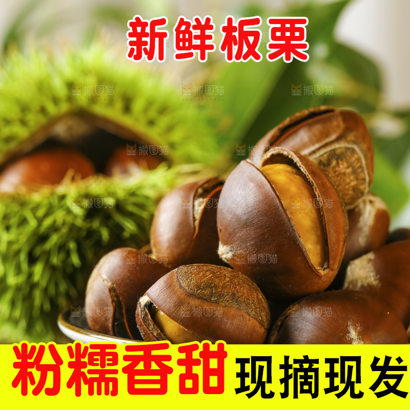 深底上的迁西板栗