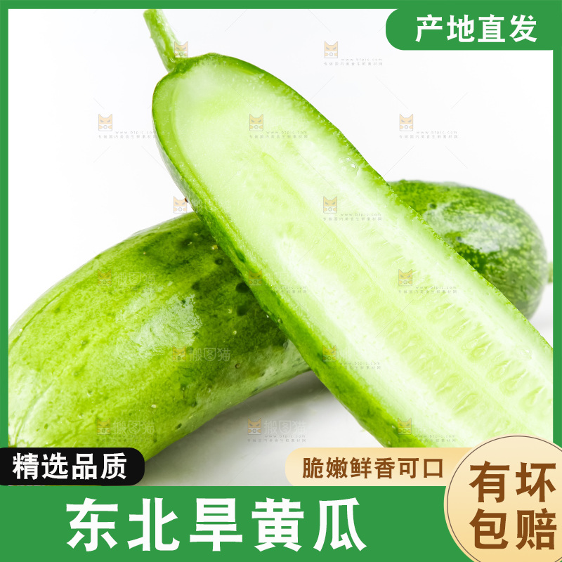 白底上的旱黄瓜