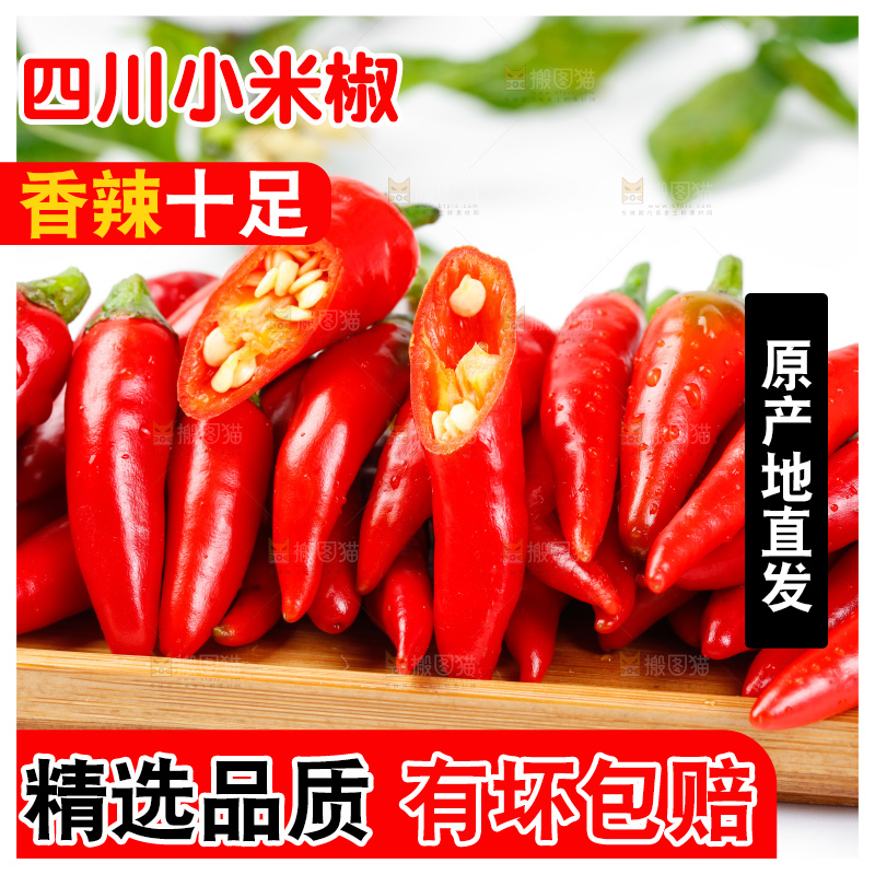 白底上摆放着广西小米椒