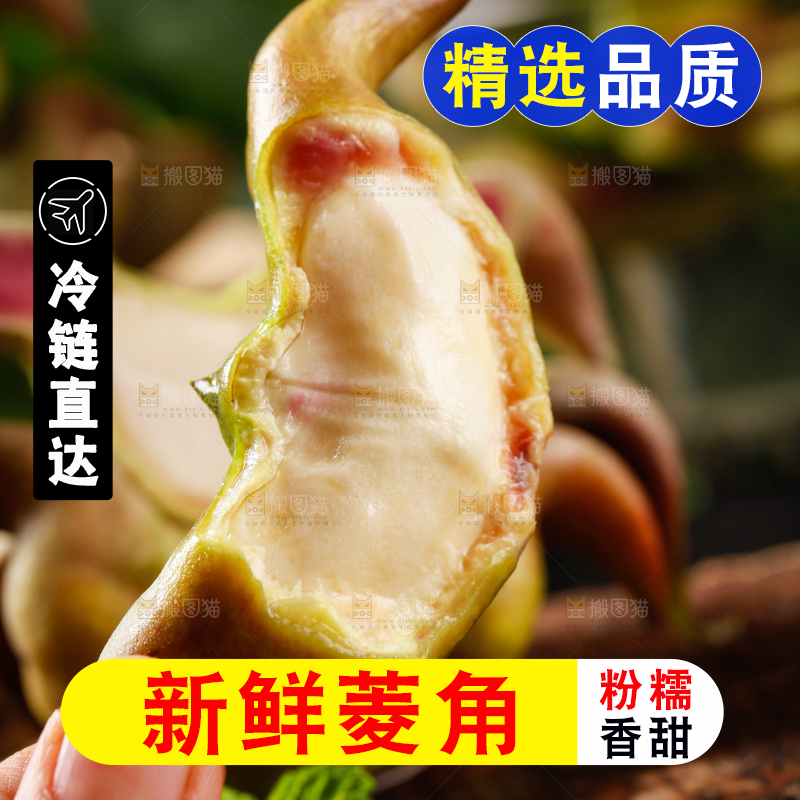 手里拿着新鲜菱角