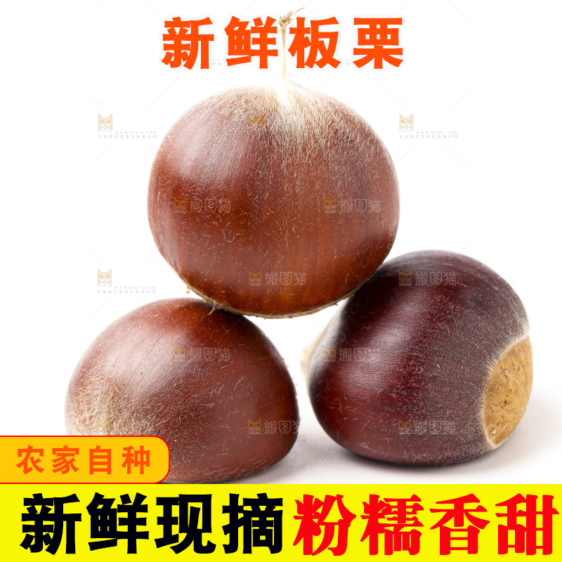 白底上放着迁西板栗